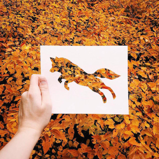 taichi-kungfu-online:  Art is from life! 