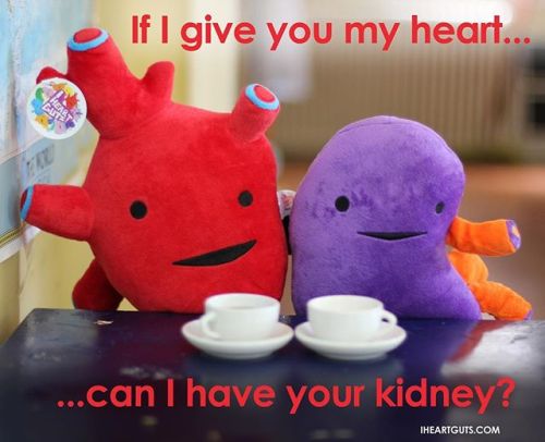 While you’re giving your ❤️ away, why not throw in a kidney, too? Big love to all you living d