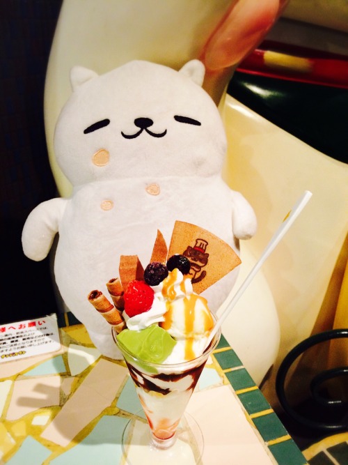 iamtubbs:Tubbs visits the Neko Atsume event at Namjatown, Ikebukuro.