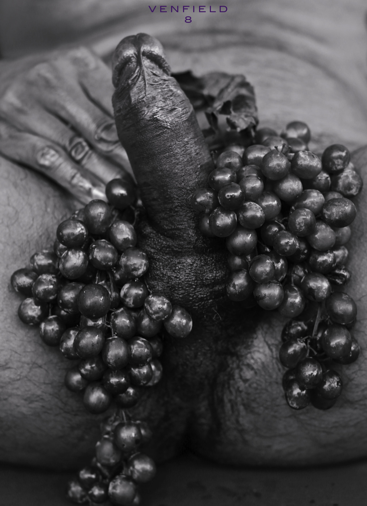 venfield8:  The Darker the Berry, The Sweeter the Juice, 2013   V E N F I E L D