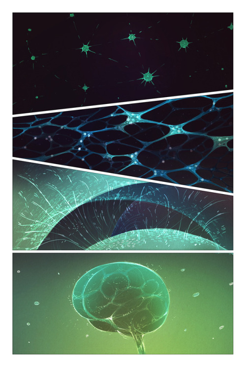 projectprotea:First pages of Protean Sea! I’m starting a new webcomic! Check it out!