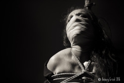 kinbakuluxuria:  Preview from our show in