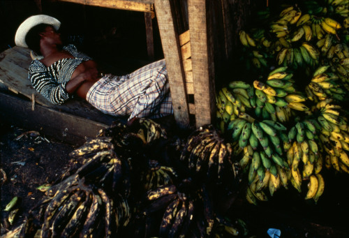 ouilavie:Miguel Rio Branco. Brazil. The market of St Joaquim.