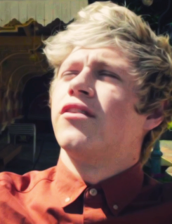          because niall looks really good in that shirt                  