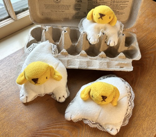A photo of the same plushes hanging out around an empty egg carton.