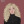 alexferrero:my brain: blease,,,,im begging you&hellip;.just read a book,,,.,a