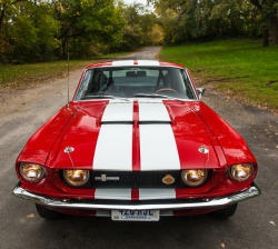 JUST THE COOLEST MUSTANGS