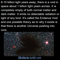 gallifreyburning:  ultrafacts:  Source If