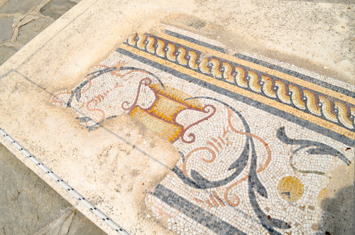 Cyclades, Archaeological Museum of Paros:Mosaics with a depiction of the labours of Hercules. The mo