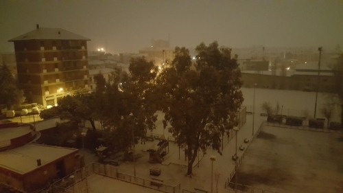 it has been snowing all night, so nICE it never snows here