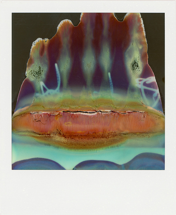 nevver:  Polaroids, William Miller