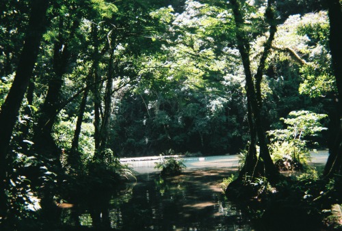 beccam724:  Semuc Champey, Guatemala June 2014