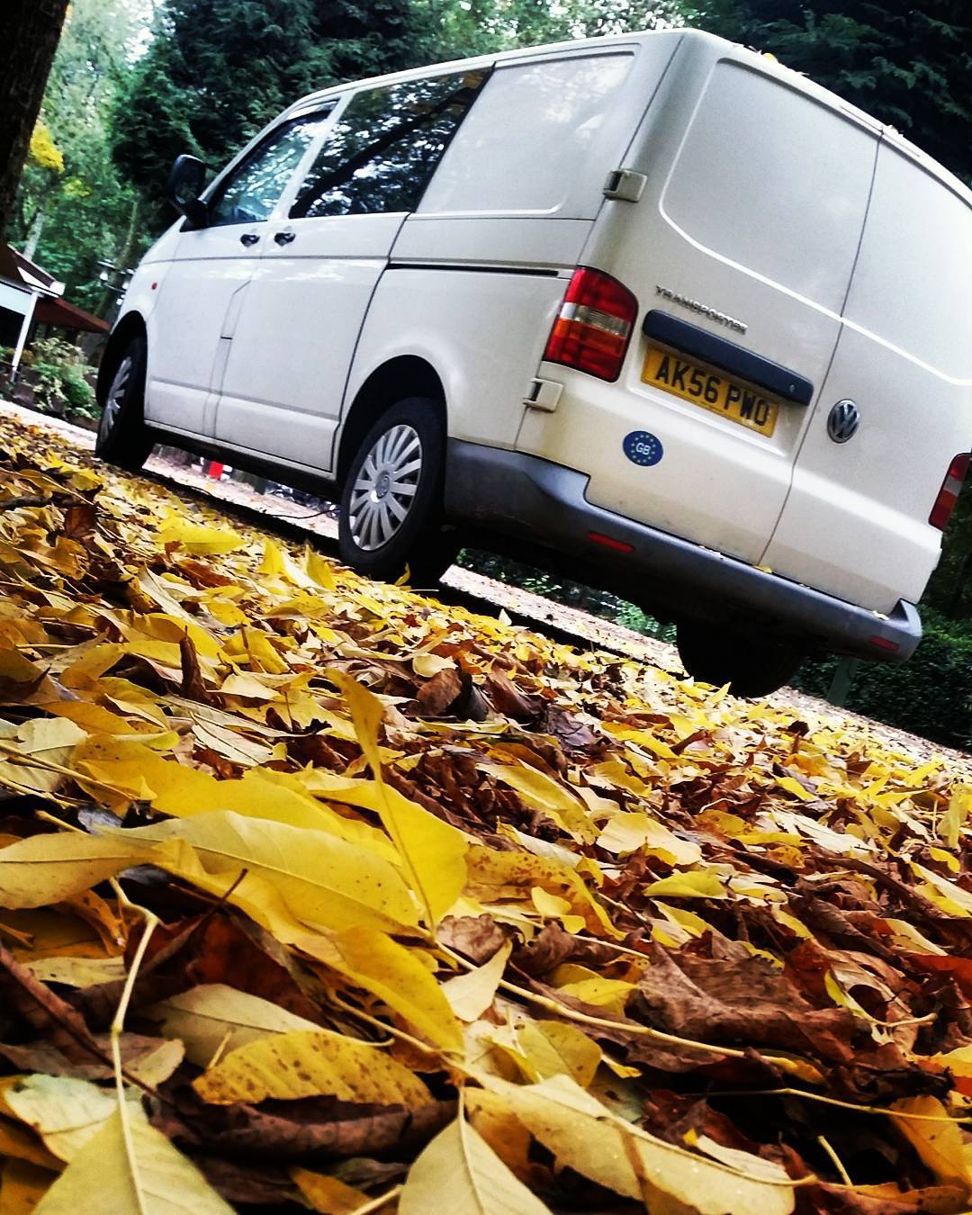 Full autumn in Amsterdam now. Will be back in the UK soon . #travel #roadtrip #vw #amsterdam #europe #blog http://ift.tt/1Lr12MY