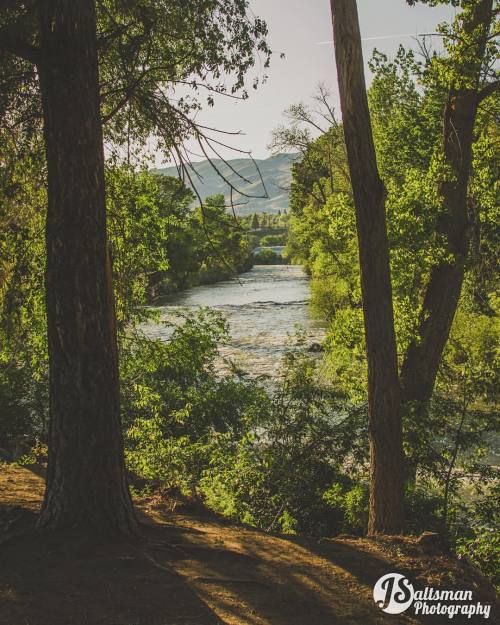 View down the Truckee by Idlewild yesterday. #reno #nevada #west #usa #river #truckee #idlewild #tra