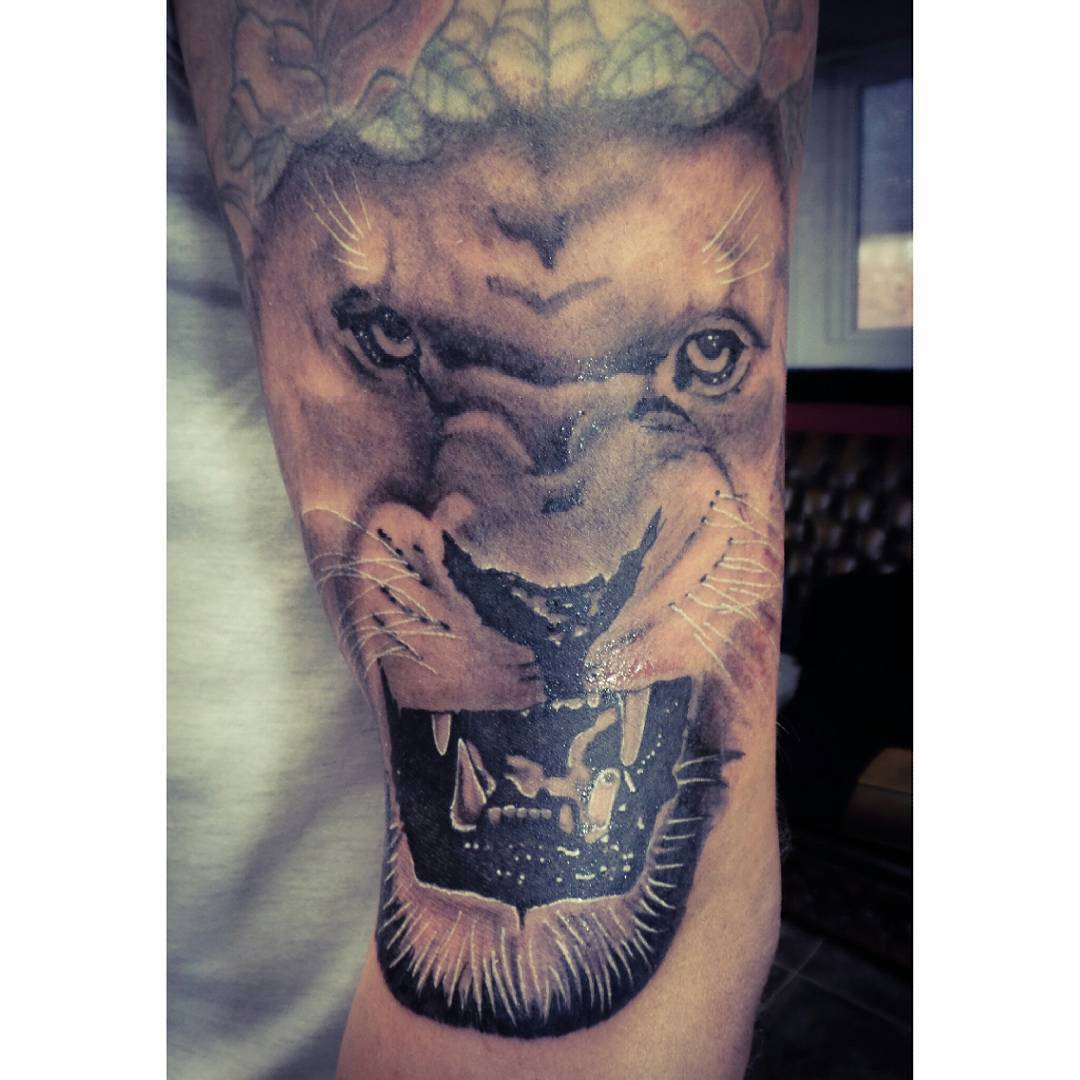 Pin by Malcolm Smith on The royal chops | Lion chest tattoo, Lion shoulder  tattoo, Lion tattoo