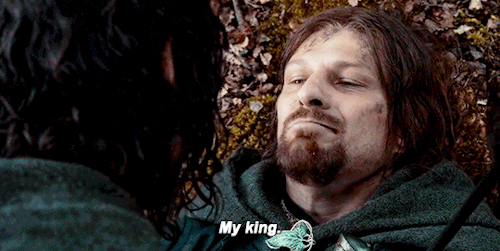 LORD OF THE RINGS: FELLOWSHIP OF THE RING