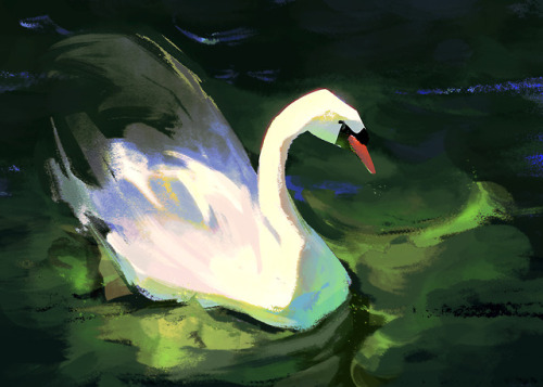 salamispots:Had a lot of fun with this week’s spits : V