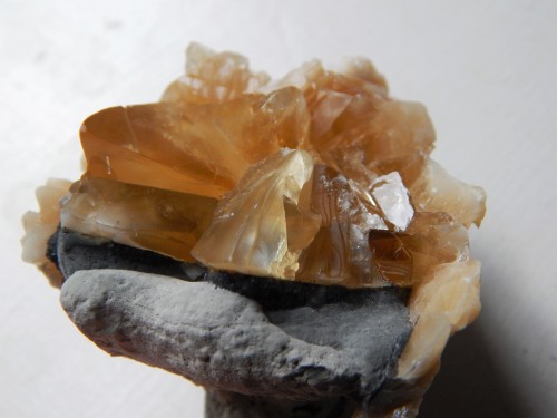 Fossilized (partial) Clam Shell with Honey Calcite crystal cluster growth ! This thing is 2 million 