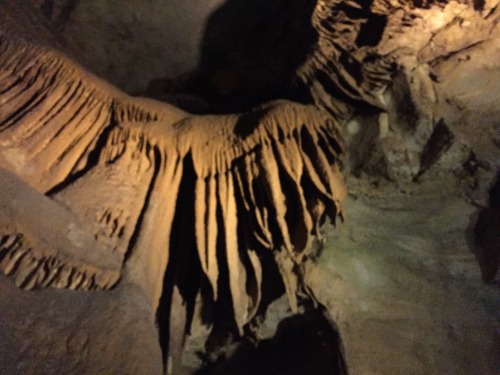 veganmewsings: Mammoth Cave