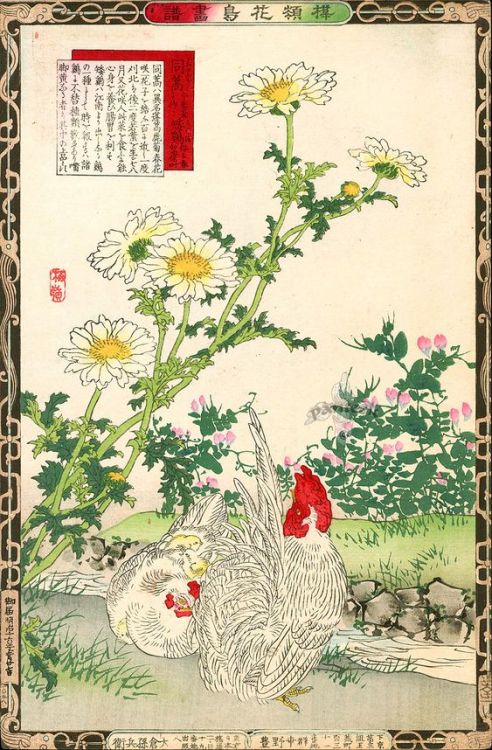 heaveninawildflower:Illustrations from the series ‘Bairei kachō gafu’ by Kōno Bairei (1844-1895).1) 