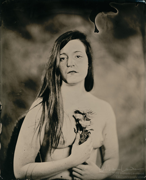 Haley M., with Mums.  8x10 tintype.  Copyright 2018, William Lawrence.From a great shoot with Haley,