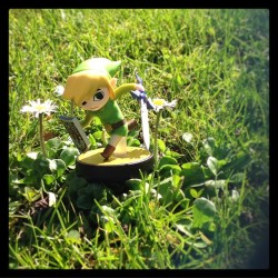 wolfiboi:  Link’s Garden Adventure! #link