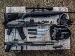 libertybeforedeath:  everydaygun:  thatonegunblog:  Serious Hardware (On A Budget)Guns: - Savage Edge .308 - Bulgarian AK-74 (CAI NDS-2) 5.45x39mm - Hawk 982 12 Guage - Citadel Arms 1911A1 FS Tactical .45ACP - Beretta M21A Bobcat .22LRKnives -