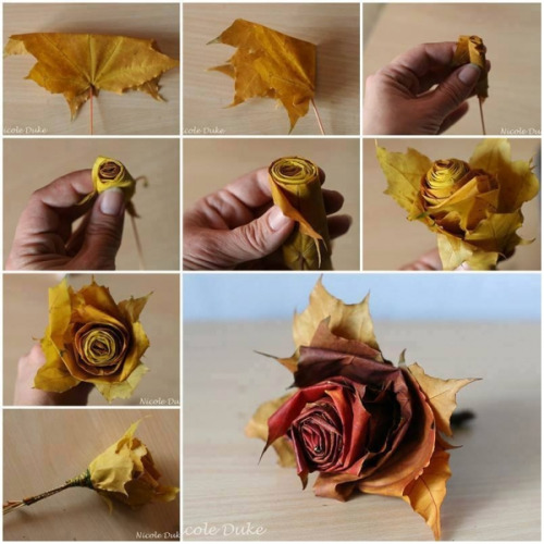 How to turn leaves into flowers with this tutorial from craft gossip. http://craftgossip.com/fall-le
