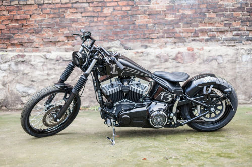 jd-kickdrum:  Softail   Datum!
