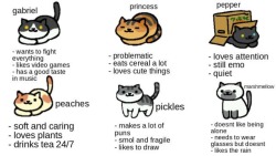 eponinesflowers:  Tag which cat you are!