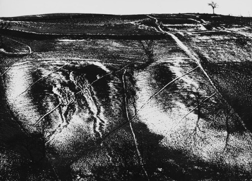 Metamorfosi della terra, anni settanta — Mario Giacomelli