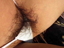 hairybushyc: [ Hairy / Unshaved Women ]