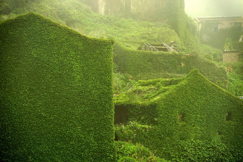 archatlas: Abandoned Chinese Fishing Village Being Swallowed By Nature Shengsi, an archipelago of a