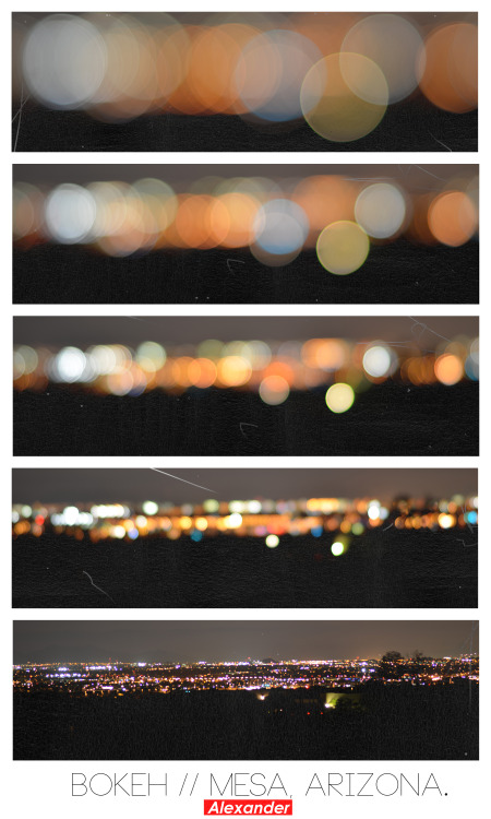alexketchum:  w/o dust and scratches /w dust and scratches