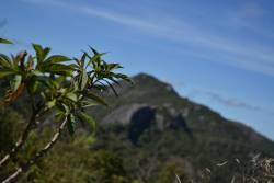  (at Pico Do Selado - Monte Verde - MG)