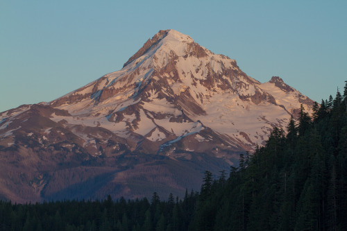 Mt. Hood seen from the shore of Lost Lake in late afternoon. Mt. Hood National Forest, Oregon. June 