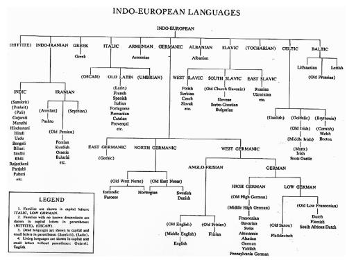 Behold, a visual representation of the many Indo-European languages that exist. I just thought it wa