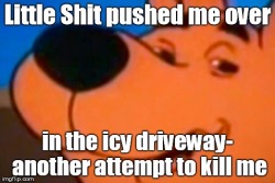 fuck-scrappydoo:My mom made this after slipping outside this morning and she is a comedic genius.