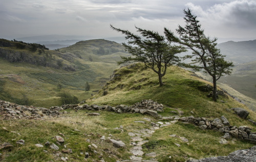 wanderthewood:Track to Wetherlam, above the old mines of Tilberthwaite, North Yorkshire, England by 