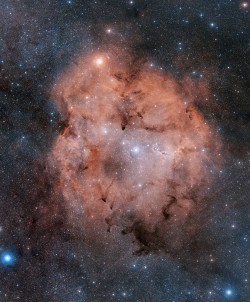 the-future-now:  This is IC 1396 — Stunning