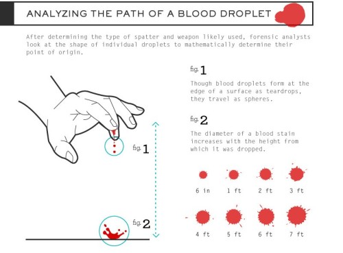 fuckyeahcharacterdevelopment:  spineye:  amandaonwriting:  Bloodstain Pattern Analysis (BPA) - Resource for Crime Writers SOURCE  well you never know when this might come in handy.  I feel like this would be useful to some of you.  