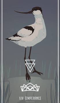 Temperance card in Birds Tarot by Fiona Marchbank