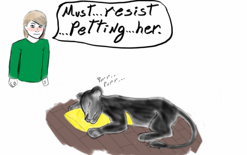 lunatic-at-best: Reactions to cat carmilla: starring lafontaine, wolf Danny and laura