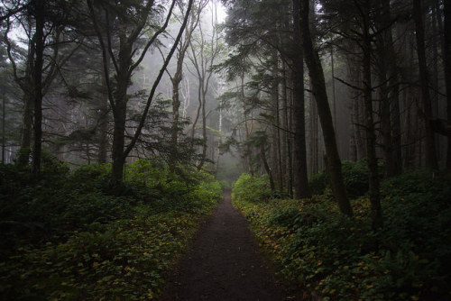 Wandering Fog by Ayche_G on Flickr.