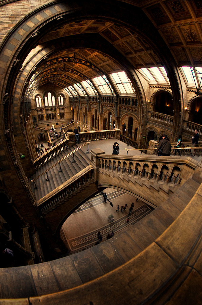 travelingcolors:  Ntural History Museum, London | England (by Martin Turner)