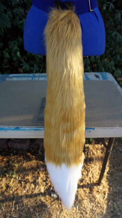  Long Fox Tails Finally got a pic of caramel with a white tip! Love the contrast with these colors.S