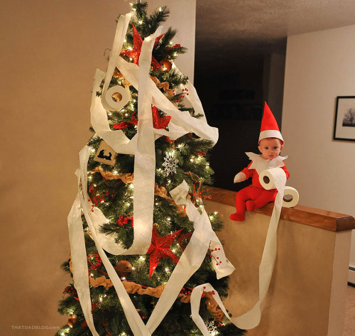 conflictingheart: Dad-Of-Six Turns His Baby Into Adorable Elf On The Shelf Awww wth