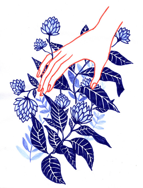 misswallflower: Eloïse Heinzer, “Fleurs bleues”