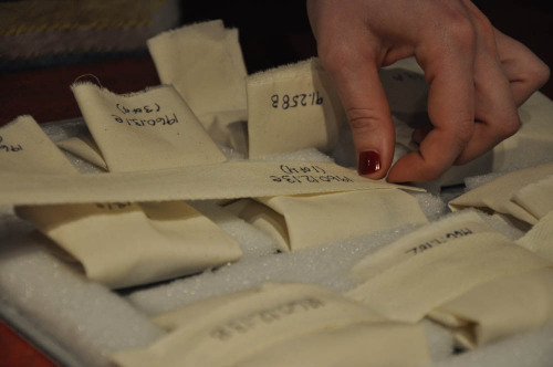 Registration Technician Chelsea Hick is preparing Ethafoam and blue board trays to store and transpo