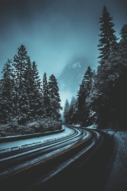 alecsgrg:  Yosemite National Park | ( by